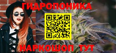 apvp Ирбит
