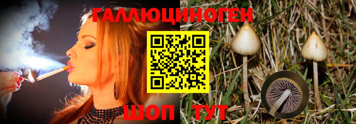 Галлюциногенные грибы прущие грибы Киселёвск
