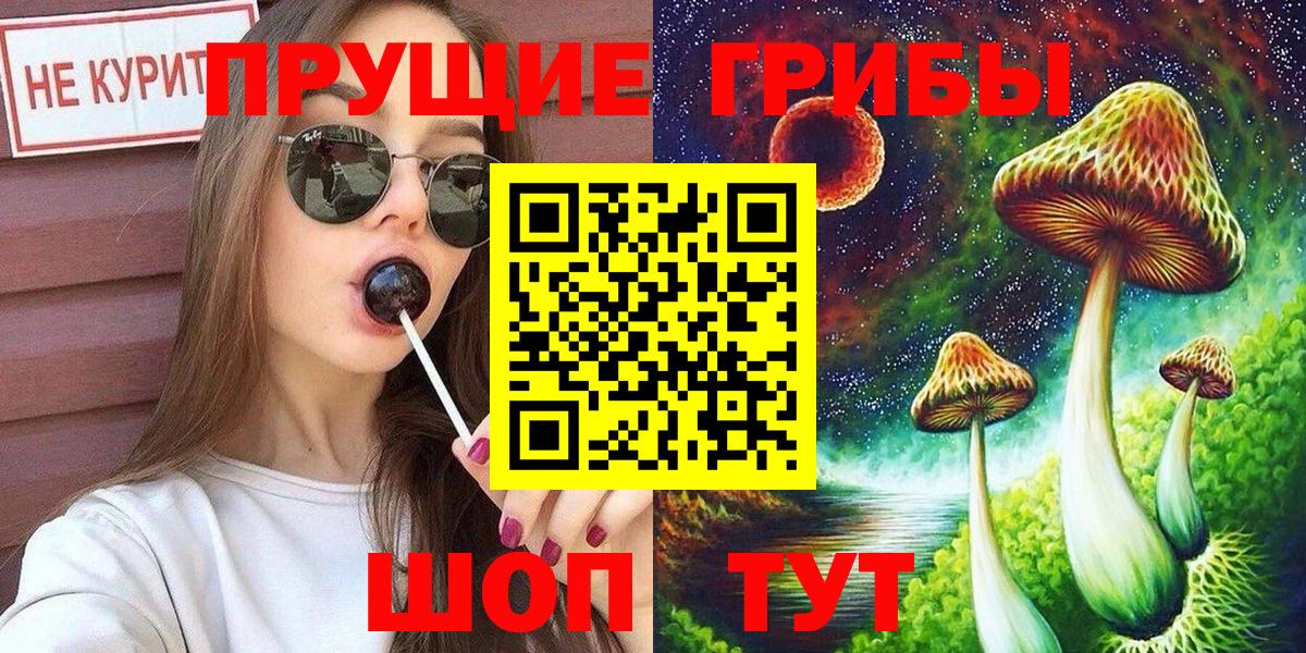 Псилоцибиновые грибы Cubensis  Вход с VPN  Киселёвск 